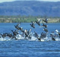 Ord River - Accommodation Sydney