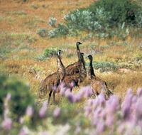 Jurabi Coastal Reserve - Sydney 4u