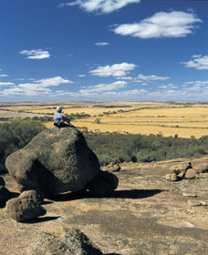 Bruce Rock WA Accommodation Sydney