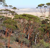 Mount Matilda Walk Trail Wongan Hills - Accommodation Sydney