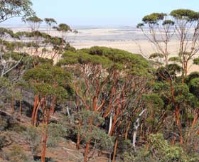 Mount Matilda Walk Trail, Wongan Hills - Accommodation Sydney 0