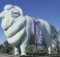 Giant Ram Tourist Park - Accommodation Sydney