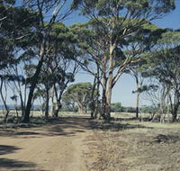 Lake Dumbleyung - Accommodation Sydney