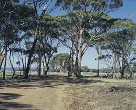 Lake Dumbleyung - Accommodation Sydney 0
