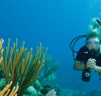 Coastal Water Dive - Accommodation Sydney