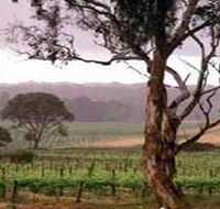 Yangarra Estate Vineyard - Sydney 4u