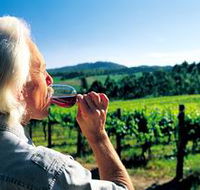 Ashton Hills Vineyard - Accommodation Sydney