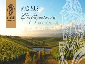 Maximus Wines Australia - Accommodation Sydney 0