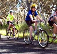 Penola Cycling Trails - Accommodation Sydney