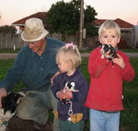Orrie Cowie Merino and Poll Merino Stud - Accommodation Sydney