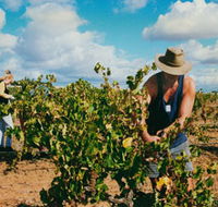 Torbreck Vintners - Accommodation Sydney