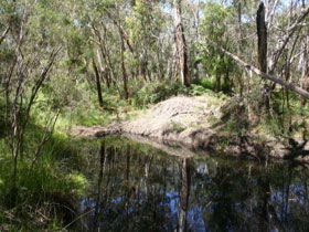 Para Wirra Recreation Park - Sydney 4u 0