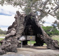 The Herbig Family Tree - Sydney 4u