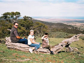 Bridle Track - Accommodation Sydney 0