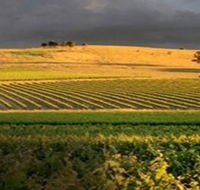 Kellermeister Wines - Accommodation Sydney