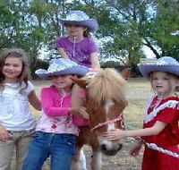 Amberainbow Pony Rides - Accommodation Sydney