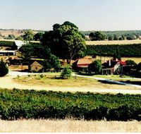 Irvine Wines - Sydney 4u