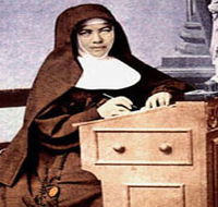 Mary MacKillop Penola Centre - Accommodation Sydney