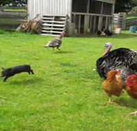 Echo Farm - Accommodation Sydney