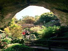 Engelbrecht Cave - Sydney Resort 0
