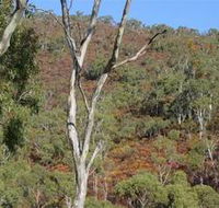 Black Hill Conservation Park - Sydney 4u
