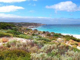 Marion Bay SA Accommodation Sydney