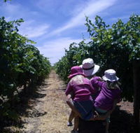McLaren Vale Orchards - Accommodation Sydney
