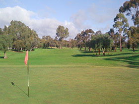 Regency Park Golf Course - Accommodation Sydney 0