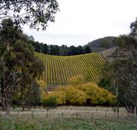 Mt Bera Vineyards - Accommodation Sydney