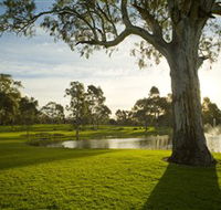 Serafino Wines - Accommodation Sydney