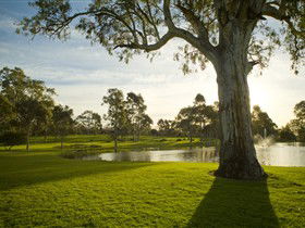 Serafino Wines - Accommodation Sydney 0