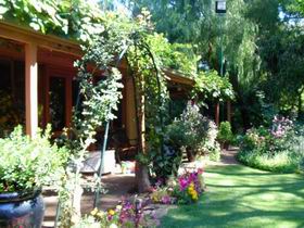 Rainforest Retreat - Sydney Resort 0