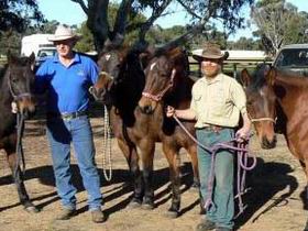 Coffin Bay SA Accommodation Sydney