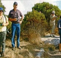 Coobowie Bird Hide - Accommodation Sydney