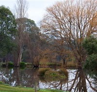 Gemtree Wetlands Ecotrail - Accommodation Sydney