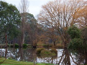 Gemtree Wetlands Ecotrail - Accommodation Sydney 0