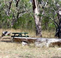 Penola Conservation Park - Accommodation Sydney