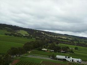Kangarilla Road Vineyard And Winery - Accommodation Sydney 0