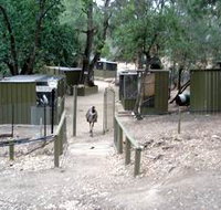 Humbug Scrub Wildlife Sanctuary - Accommodation Sydney