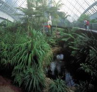 Bicentennial Conservatory - Accommodation Sydney