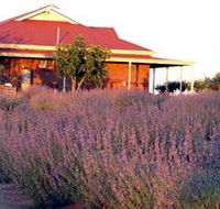 Bella Lavender Estate - Accommodation Sydney