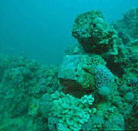 Adelaide's Underwater Heritage Trail - Accommodation Sydney