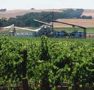 Kirrihill Wines - Accommodation Sydney