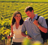 Lady Bay Vineyard - Accommodation Sydney