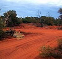 Tallaringa Conservation Park - Accommodation Sydney