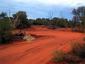 Tallaringa Conservation Park - Sydney Resort 0