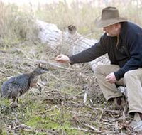 Sinclair's Gully - Sydney Resort