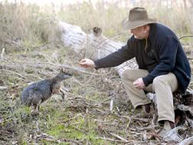Sinclair's Gully - Sydney Resort 0