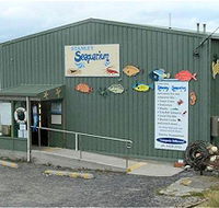 Stanley Seaquarium - Accommodation Sydney