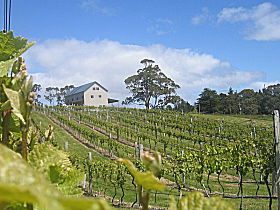 Bruny Island Premium Wines Bar And Grill - Accommodation Sydney 0